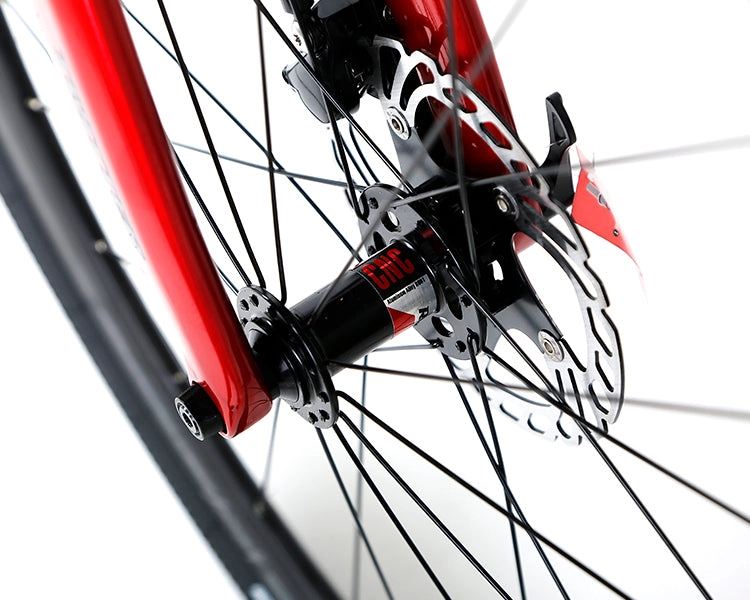 GRAVEL V3 - SRAM APEX 11 Speed - Carbon Fiber Gravel Bike