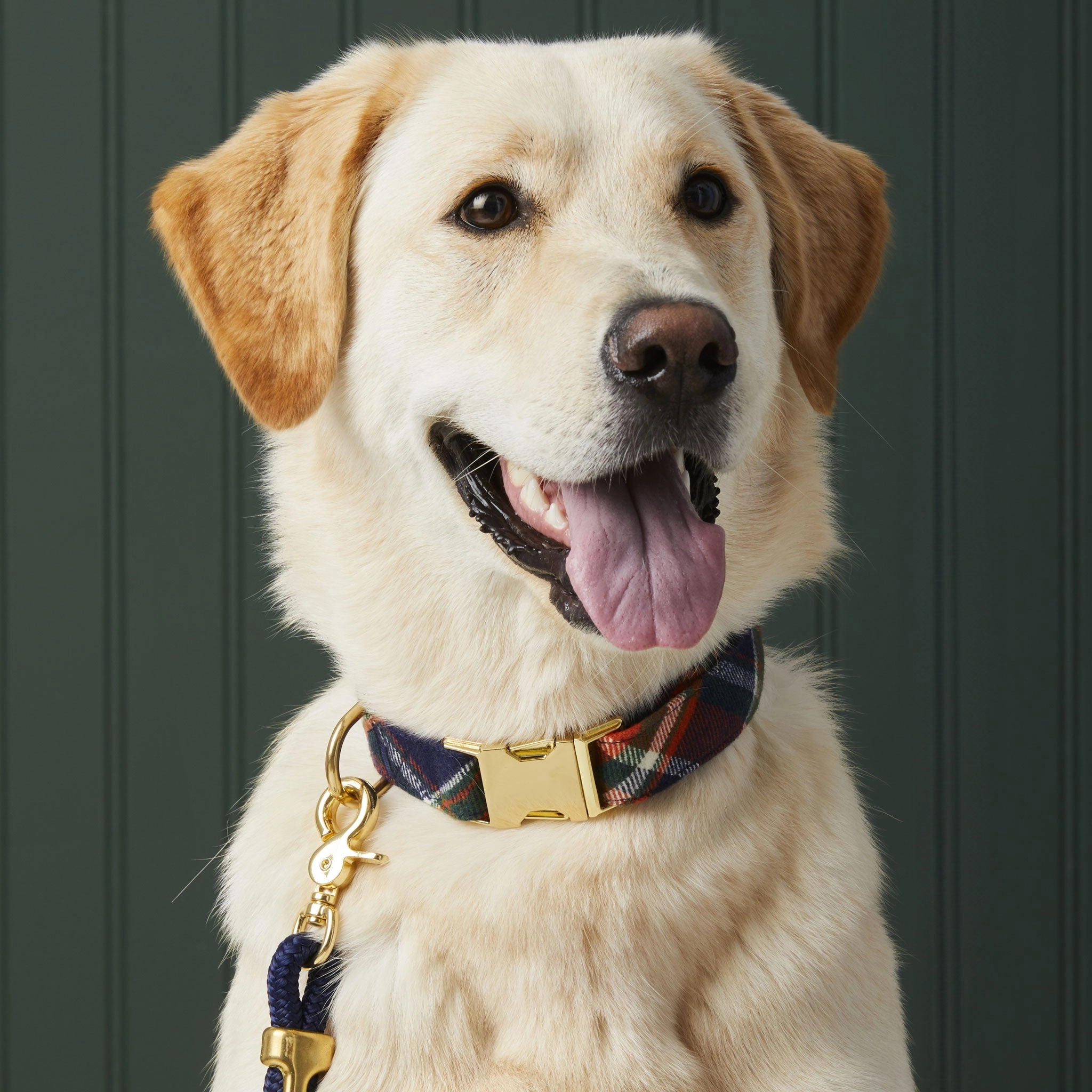 The Foggy Dog Collar - Dakota Plaid Flannel